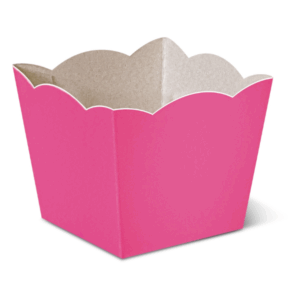 Mini Pipoca Rosa